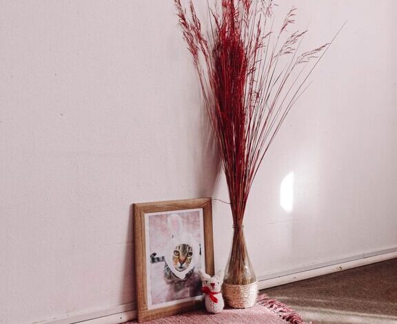 How to Set Up a Cozy Pet-Friendly Home Corner
